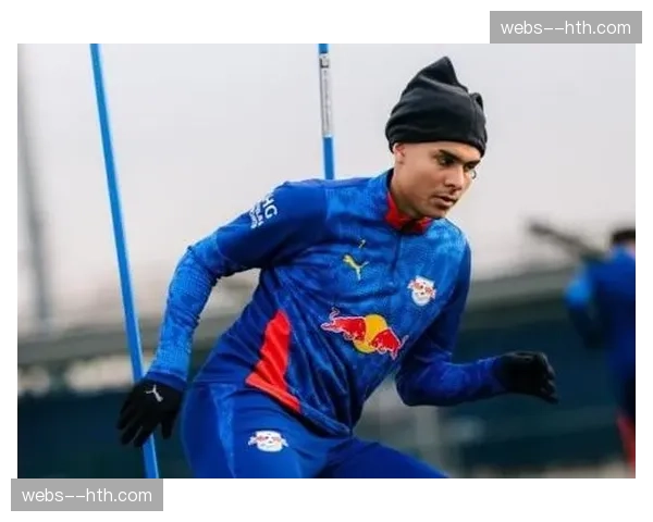 莱比锡医疗团队压力增大 多名球员伤情标注为未知状态